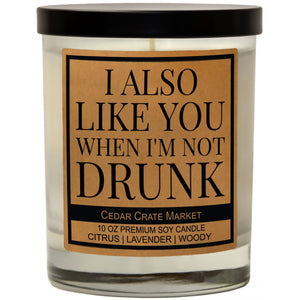 I Also Like You When I'm Not Drunk | 100% Soy Wax Candle