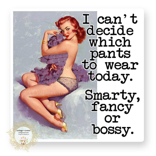 Pants Bossy Fancy Smarty Pants Retro Housewife Vinyl Sticker