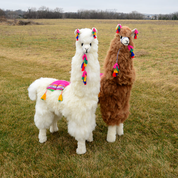 Display Alpaca – 45″