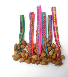 Ankle Wrist String Seed Rattler Instrument Dancer Shaker Hand Made Peru
