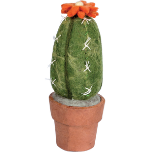 Potted Plant: Cactus