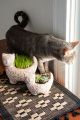 Garden Kitty Terracotta Planter