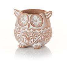 Load image into Gallery viewer, Who&#39;s Who Owl Terracotta Planter
