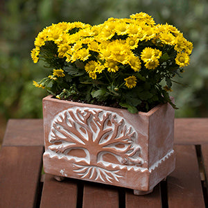 Tree Of Life Planter