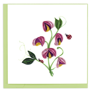 Quilled Sweet Pea Greeting Card