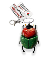 Load image into Gallery viewer, Rainbow Scarab Beetle
