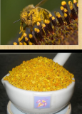 Bee Pollen Capsules