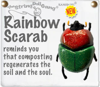Rainbow Scarab Beetle