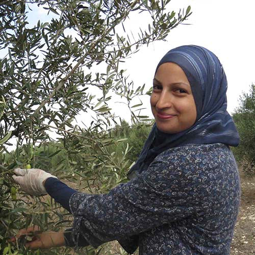 Traditional Za'atar Mix