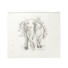 Load image into Gallery viewer, Square Ellie Pooh Note Box
