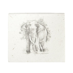 Square Ellie Pooh Note Box
