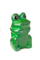 Kisii Funny Frog