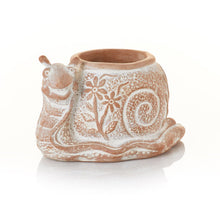 Load image into Gallery viewer, What&#39;s the Hurry Snail Terracotta Planter
