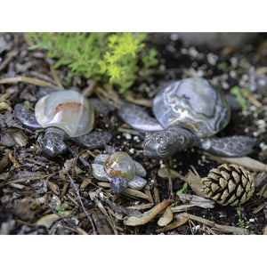Marble/Onyx Turtles 12cm