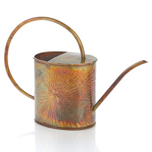 Eco-Iron Watering Can